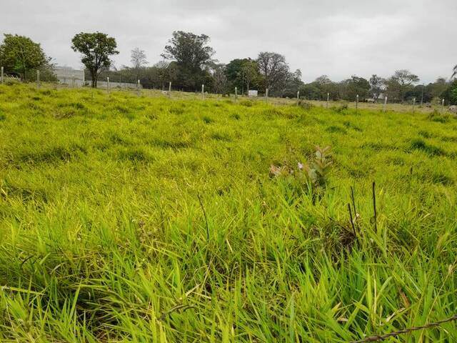 #133 - Área para Venda em Guaratinguetá - SP - 3