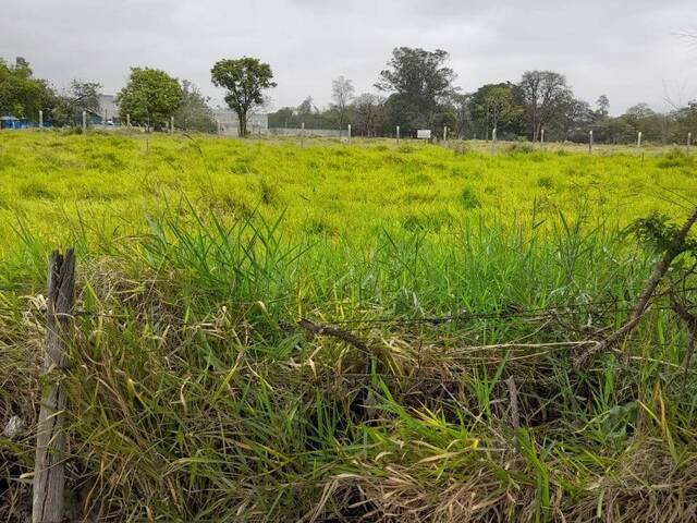 Área para Venda em Guaratinguetá - 4