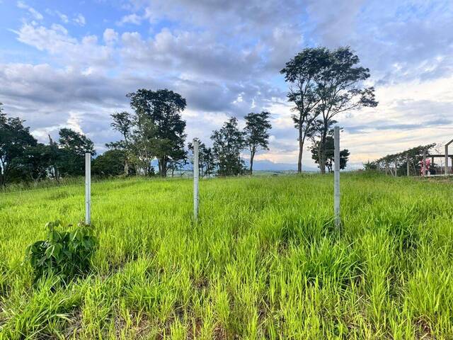 Área para Venda em Guaratinguetá - 5