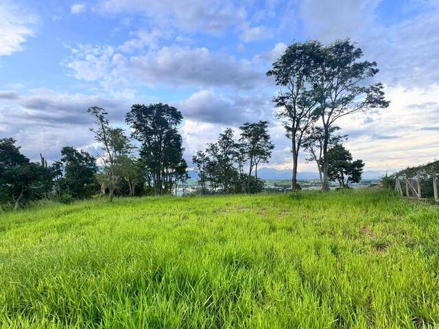 #161 - Área para Venda em Guaratinguetá - SP - 1